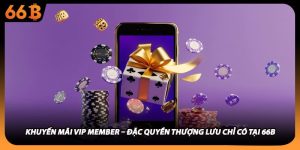 Khuyến Mãi VIP Member – Đặc Quyền Thượng Lưu Chỉ Có Tại 66B